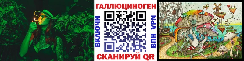 дарнет шоп  Неман  Галлюциногенные грибы Psilocybine cubensis 